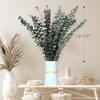 20 PCS Dried Eucalyptus Stems, 17'' Natural Real Live Greenery Eucalyptus Leaves Branches Hanging Shower, Preserved Fresh Eucalyptus Plant for SPA