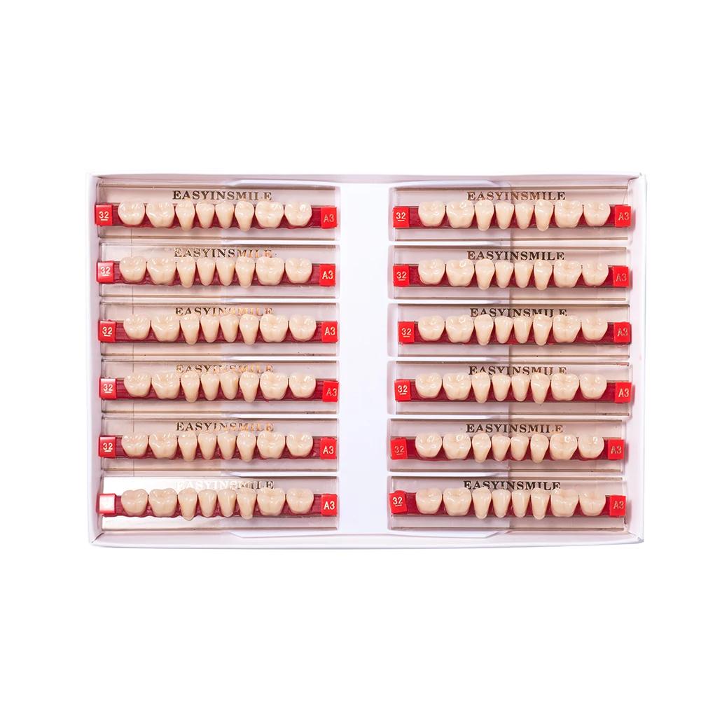 16/12 Sätze/Karton Zahnprothese Zähne Oberkiefer Frontzähne Unterkiefer Seitenzähne Dentier Synthetisches Polymerzähne Zahnmedizinische Ausbildungsmodell