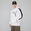 PUMA Men's Hooded Pullover Top