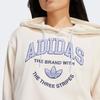 Adidas Originals Vrct Letter Logo Embroidery Loose Long Sleeve Hoodie Women Hoodie Beige IR6035