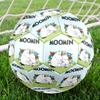 Moomin Theme Size 5 Soccer Ball, Suitable for Both Indoor and Outdoor Matches, a Gift Suitable for Everyone.