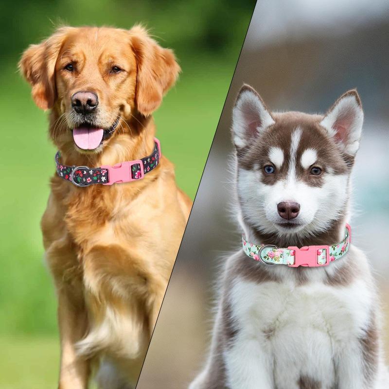 Printed flower pet collar x medium and large dog collar