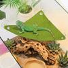 Breathable Reptile Climbing Toys Lightweight Geckos Habitat Reptile Bed Swing  Habitat Decor