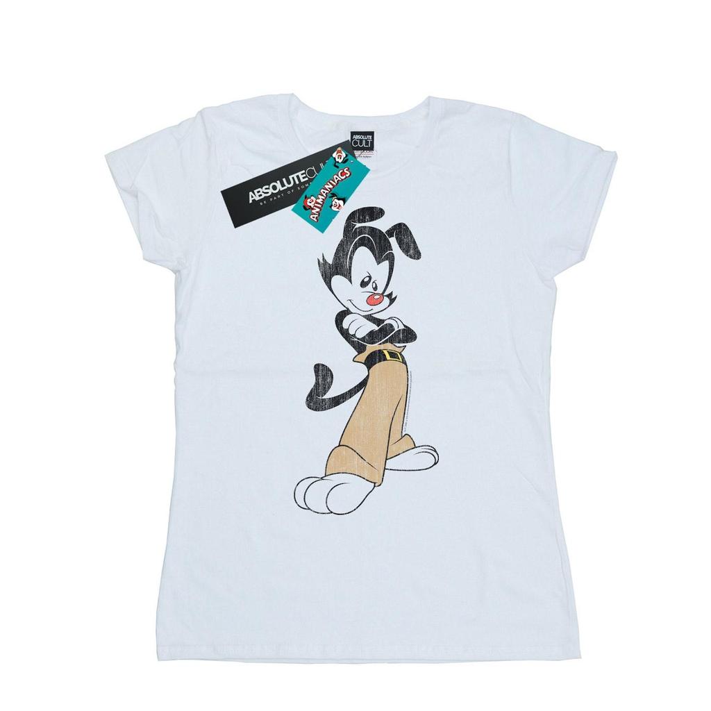 Animaniacs Womens/Ladies Yakko Classic Pose Cotton T-Shirt