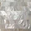 Premium Mother of Pearl Mosaic Tile Eco-Friendly Wall Art Natural Shell Kitchen Backsplash Bathroom Accent Walls 12x12 In 1-Pack