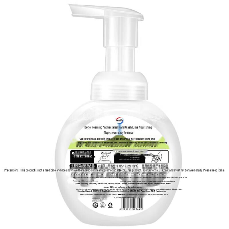 Walch Lime Moisturizing Foam Hand Wash