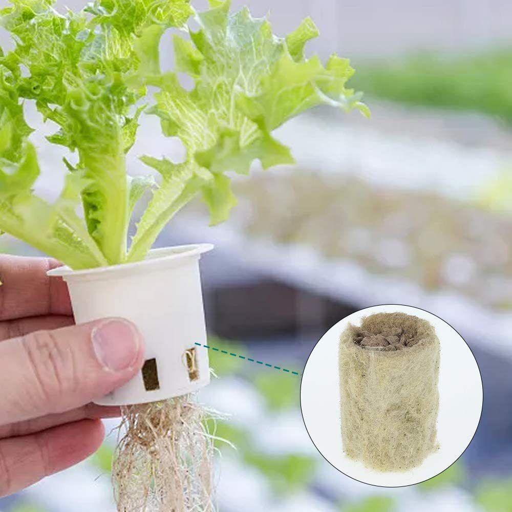 50PCS Hydroponic Substrate Rock Wool Plug Garden Sponge Nursery Block Plant Propagation