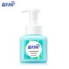 Blue Moon Fresh Fruit Mint Antibacterial Foam Hand Soap