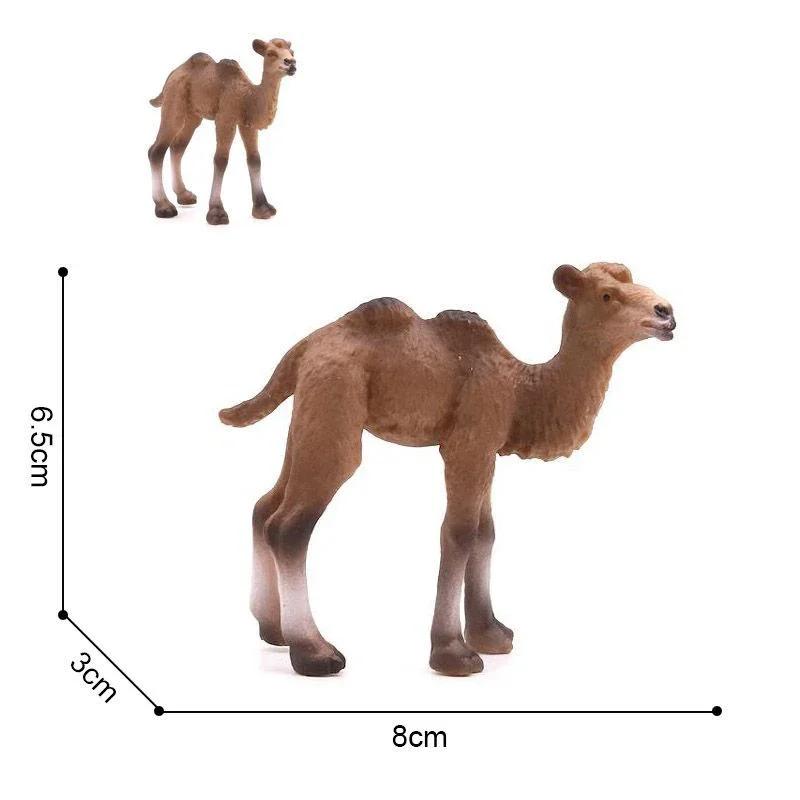 Hot Selling Realistic Camel Model - Single-Humped Camel Figurine Static Children s Toy - Double-Humped Camel Figurine Model
