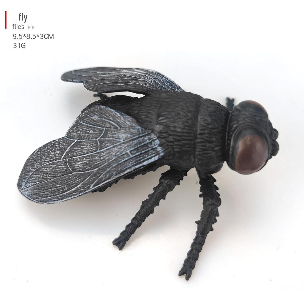 Children's Cognitive Teaching Toys: Insect Models - Butterfly, Ladybug, Rhinoceros Beetle, Bee, Grasshopper