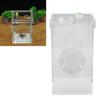 Reptile Insect Enclosure     Acrylic High Transparency Moisturizing Reptile Insect Breeding Box