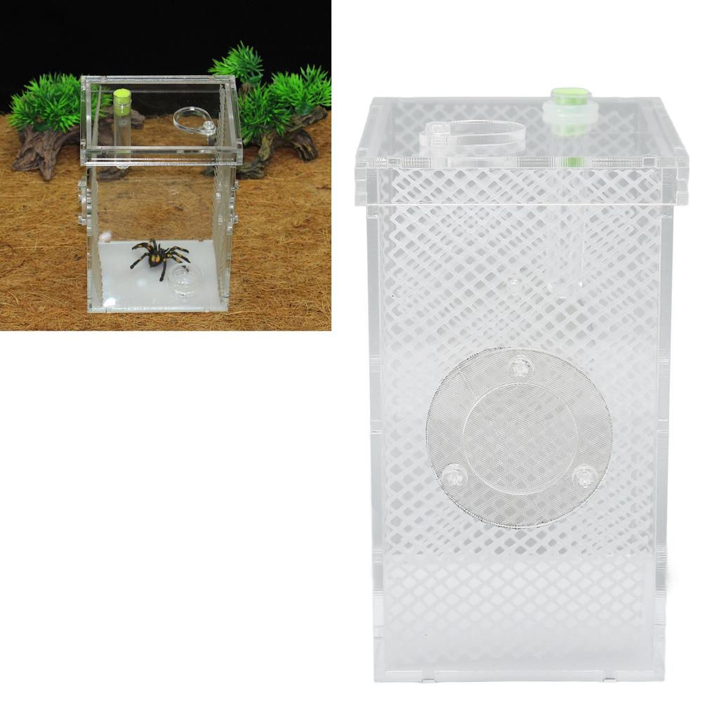 Reptile Insect Enclosure     Acrylic High Transparency Moisturizing Reptile Insect Breeding Box
