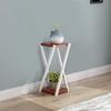 Wrought Iron Plant Stand with Teak Shelf