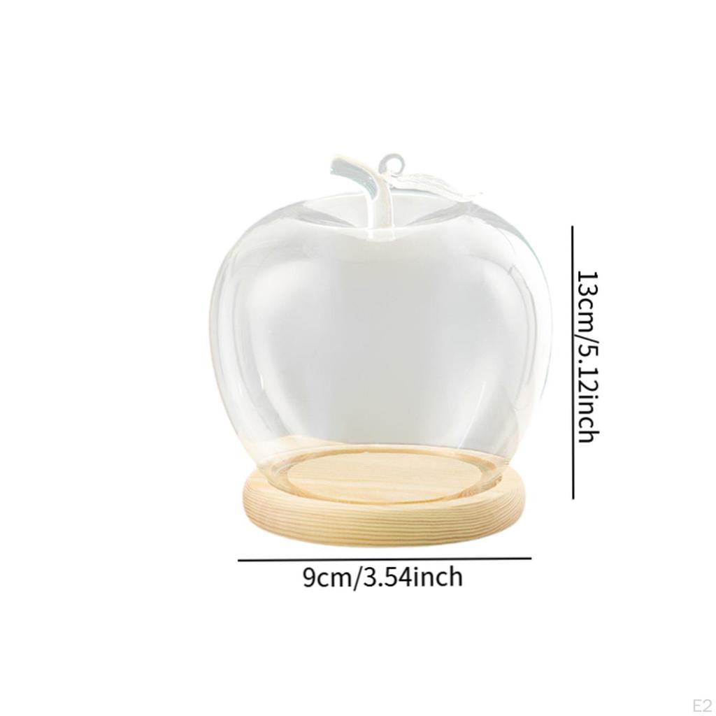 Klare Glaskuppel-Glasdose Durchmesser 3,5 Zoll DIY Bastel-Ausstellung Holzsockel zur Dekoration Figuren Heimdeko