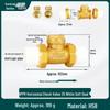 6/4 PPR Hot Melt Full Copper Check Valve, Horizontal/Vertical, 1-Inch Double Union, One-Way Tap Water Pipe Valve.