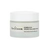 Herbloom Kombucha Vegan Collagen Cream 50mL