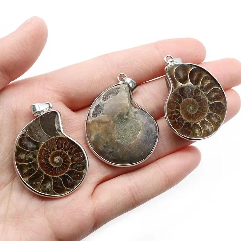 Pingentes de pedras naturais Amonite Seashell Caracol Oceano Reliquiae Concha Charms Jóias Fazendo DIY Animal Colar Acessórios 1pc