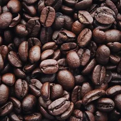 BIO-Szampon Wzmocnienie i porost włosów ze zmianami związanymi z wiekiem z kofeiną Logona 250 ml