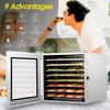 220V 600W 8 Trays Fruit Dryer Dehydrator for Fruit Meat Food Home Appliances Drying Machine Beef Jerky Making Tools
