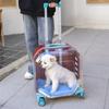 Transparent Cat Stroller 4 Wheels Sturdy Cheap Transport Stroller Cat Puppy Carrier Trolley Case Luxury Pets Supplies Outdoor