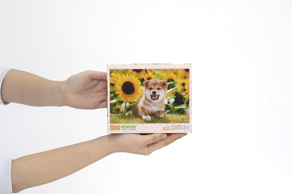 [Made in Japan] Beverly 300-Piece Jigsaw Puzzle: Sunflowers and Me (26 x 38 cm) 300-064
