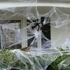 Halloween Decoration Spider Cotton Thread Spider Web Party Props Haunted House Artificial Spider Web Home Scary Party Decora