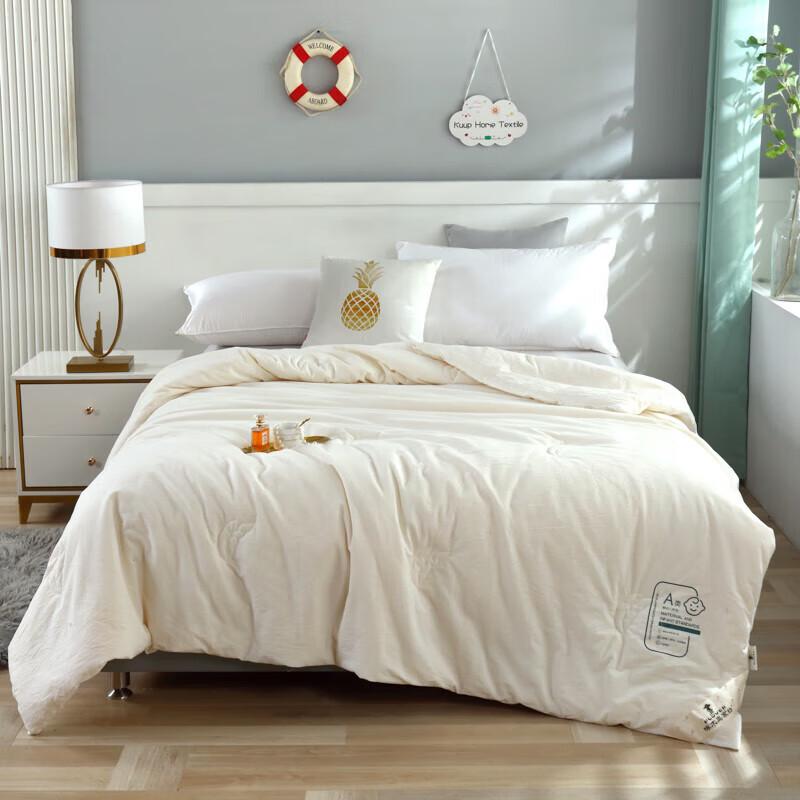 

Plover Summer Cotton Soy Fiber Quilt