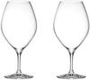 Kimura Glass Shop Piccolo 10oz Wine Glasses (Set of 2) - Casual Wine and Beer Glasses - Stylish Pair