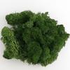 20g Artificial Flower Moss Grass Artificial Green Plant Immortal Living Room Decorative Wall DIY Flower Accessories