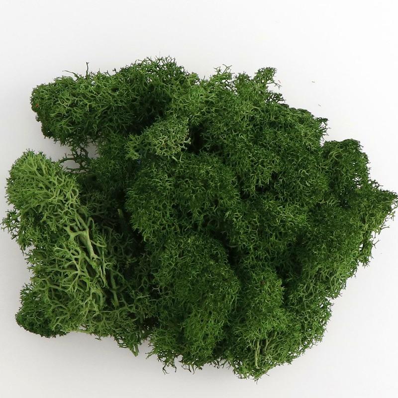20g Artificial Flower Moss Grass Artificial Green Plant Immortal Living Room Decorative Wall DIY Flower Accessories