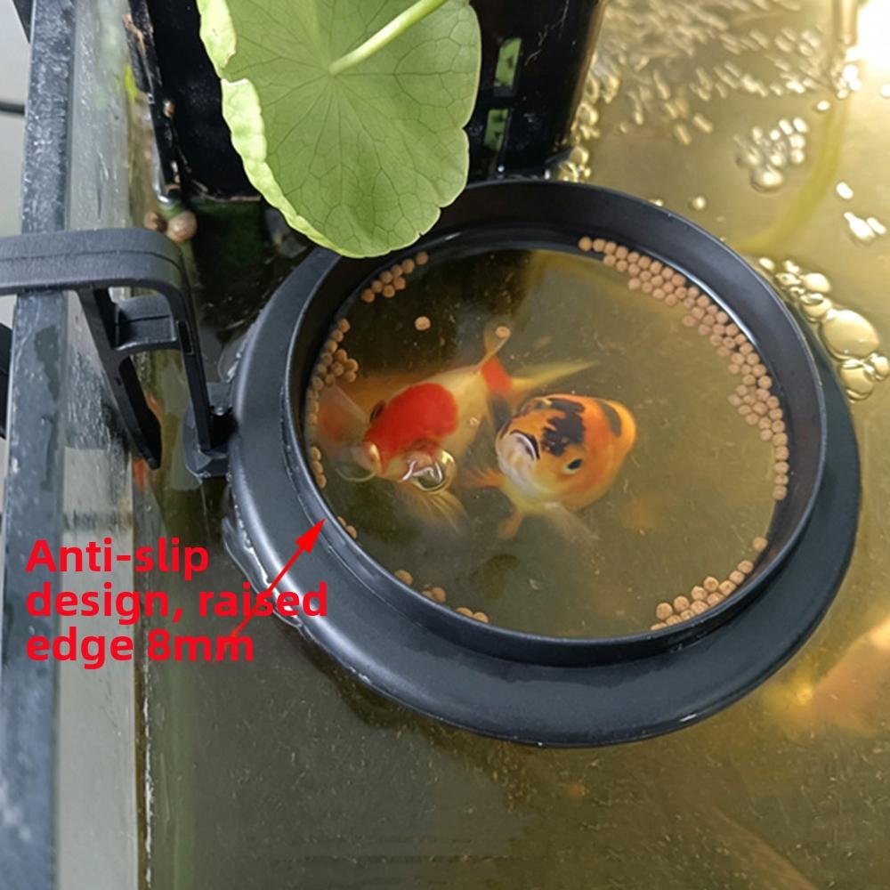 with Clip Aquarium Feeding Ring Circle Fish Feeders New Floating Fish Food Feeder Ring Aquarium