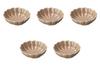 Set of 5 Rose x Setomonohonpo Chrysanthemum-Shaped Mukōzuke [15.5 4.6 cm] Mukōzuke