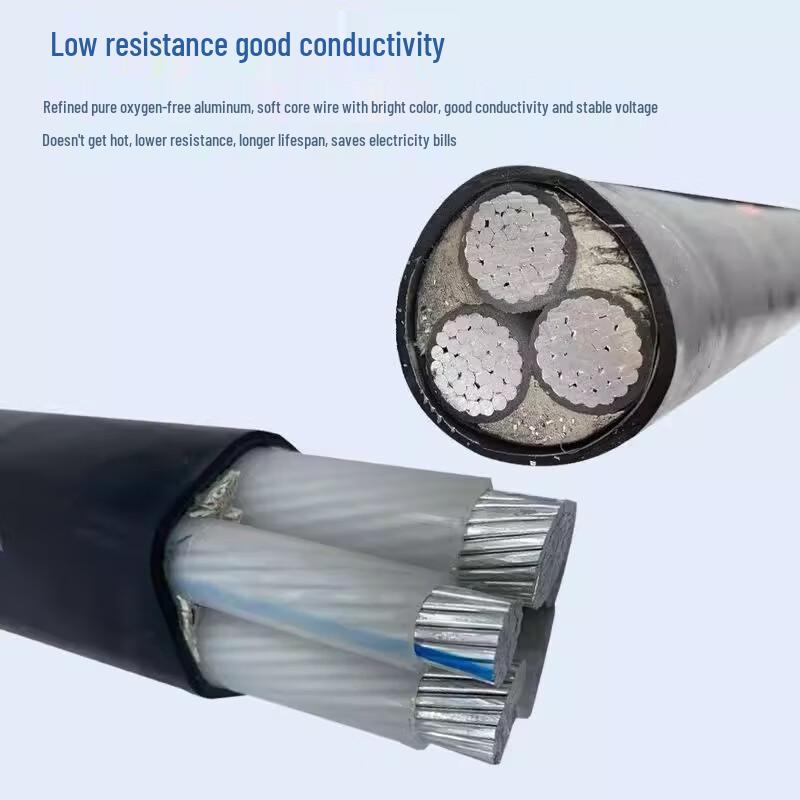 National Standard Aluminum Core Cable 3x50+1