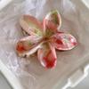 Hair Claw Flower Shape Stable Grip Summer Back Head Hair Clip Bright Color Non-Slip Shower Hair Claw Hair Accessories