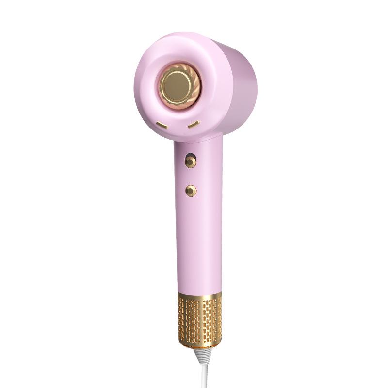 Negative Ion Hair Dryer with Constant Temperature & High Power Aromatherapy Standard