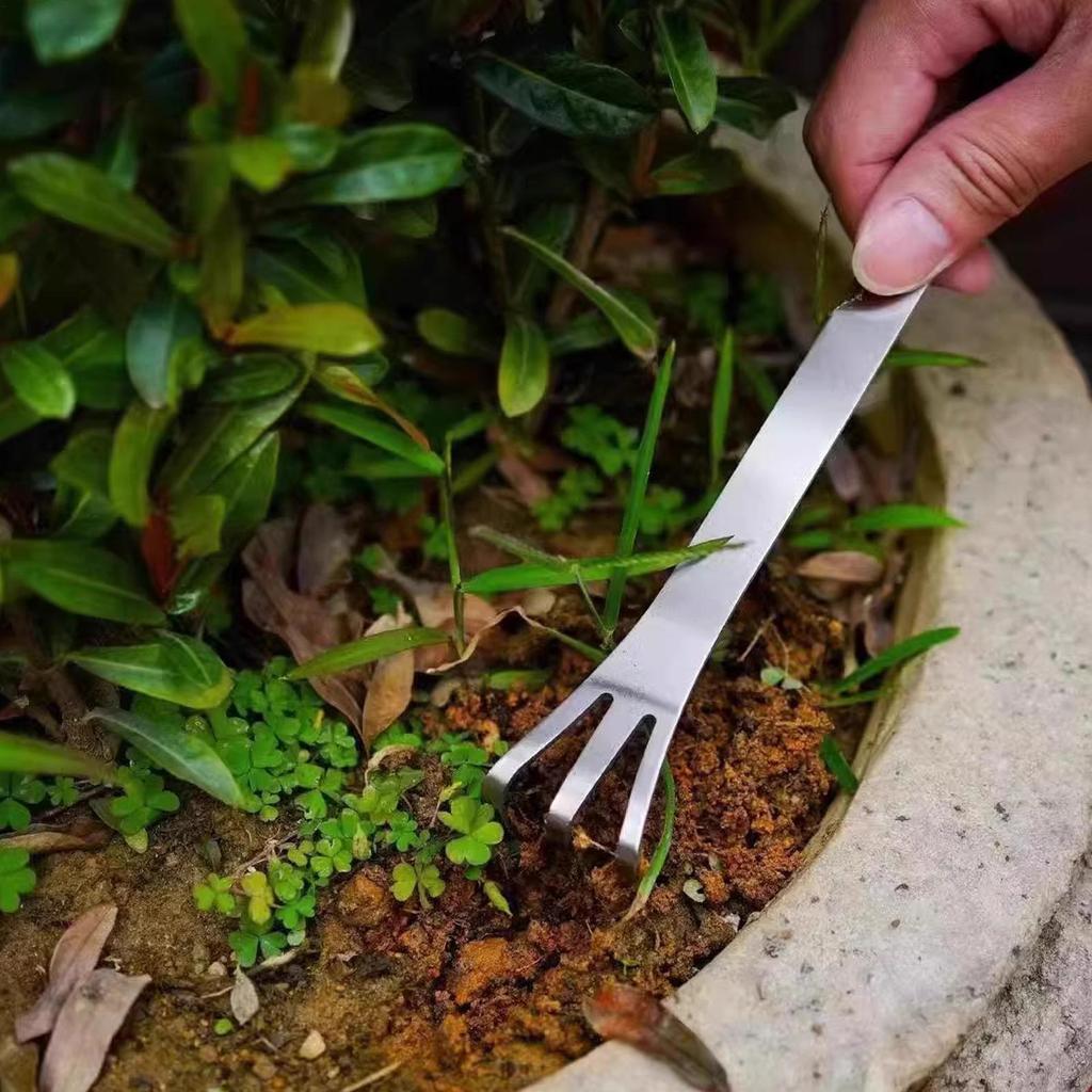 1pc Stainless Steel Root Rake Bonsai Potted Plants 3-Prong Loosen Soil Tool Handheld Rustproof Rake Home Gardening Tool