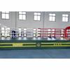 Lion Monster Boxing & MMA Training Ring