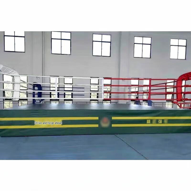 Lion Monster Boxing & MMA Training Ring