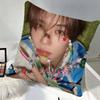 Sion Pillow Case Square Pillow Bedroom Sofa Leisure Comfort Cushion Car Home Decoration