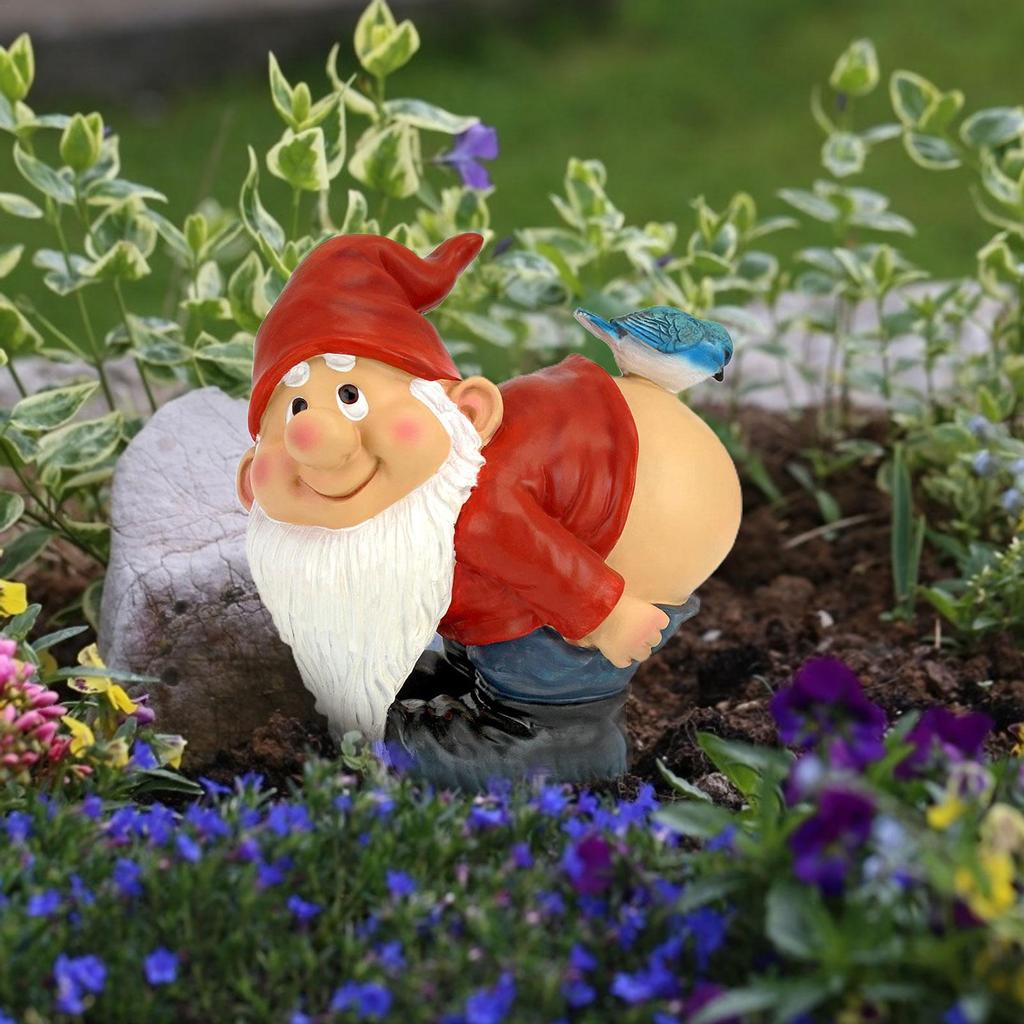Buy Resin Naughty Garden Gnome Decoration Funny Gift At Affordable Prices Free Shipping Real Reviews With Photos Joom
