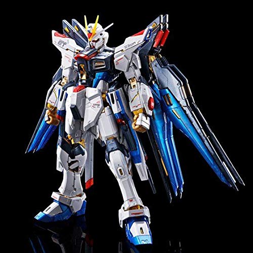 RG 1/144 Strike Freedom Gundam [Titanium Finish]