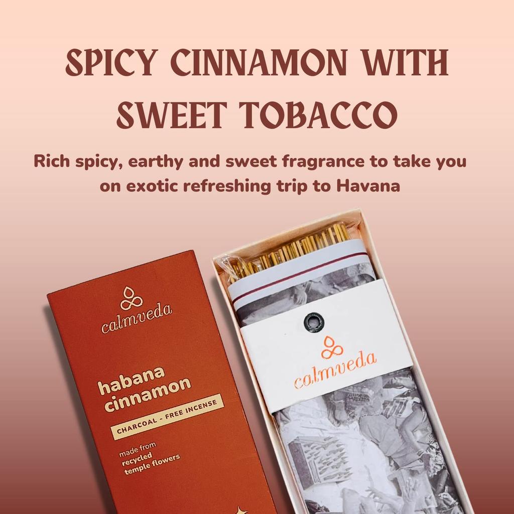 Havana Cinnamon Incense Stick Exotic - Calming Meditation Incense 80 Sticks