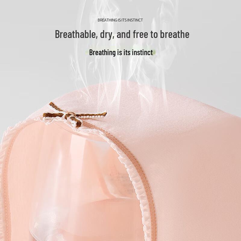 Regal Lady Women's Mid-Waist Antibacterial Underwear 4-Pack