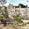 Witness In Stone by Esther Phillips Paperback Book 9781845235222