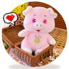 Flower Pig Pot Plush Toy Cartoon Stuffed Doll Room Sofa Decoration Kids Gift