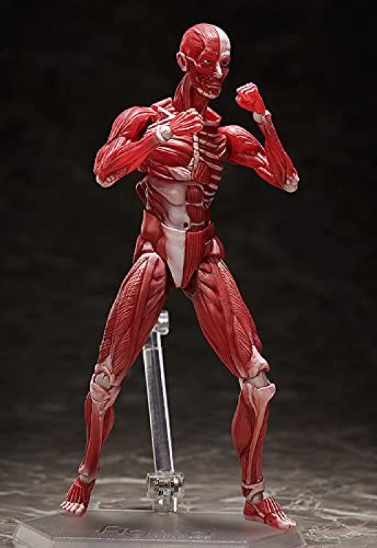 Figma модель человеческого тела раскрашенная подвижная фигурка F51042 нестандартного масштаба АБС и ПВХ