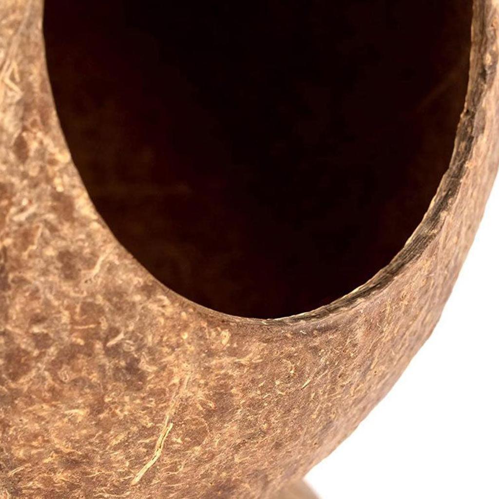 Safe Hamster Hideout Hut Pet Chew Toy Semi-closed Guinea-pig Nest Small Pet Coconut Cages Toy for Hedgehog Gerbil
