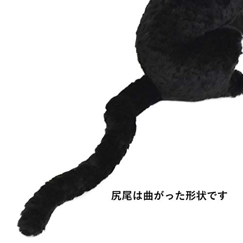 BH 7007 HANSA Black Panther 35