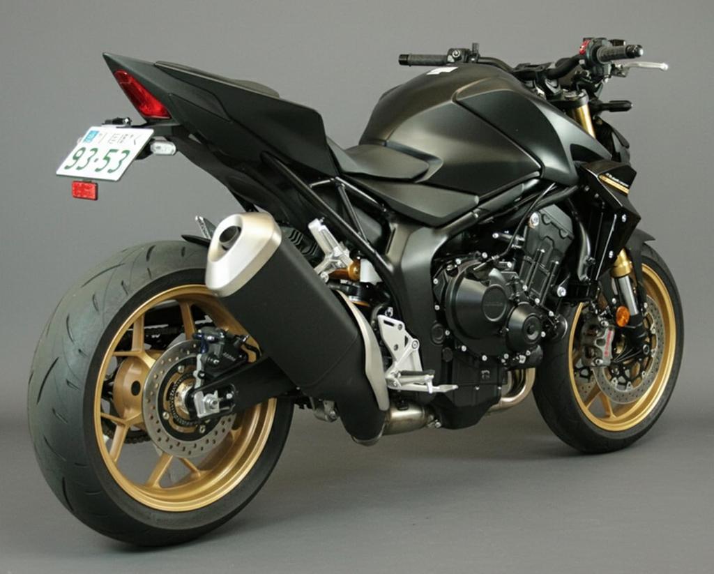 PinkFactory 25 CB1000 HORNET / SP Fender Eliminator Kit [Compatible with 2021 New Standard 40° License Plate Angle] Factory-Direct Model