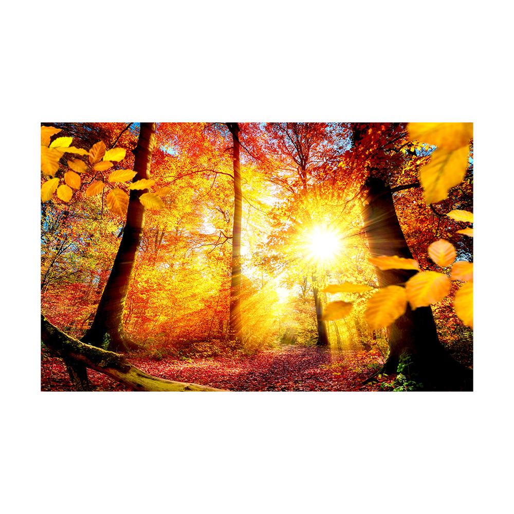 

Осенний лесной пейзаж Холст Живопись Постеры и Принты Настенное Искусство Красные Кленовые Листья Настенное Украшение Спальня Гостиная Домашний Декор 50x70cm